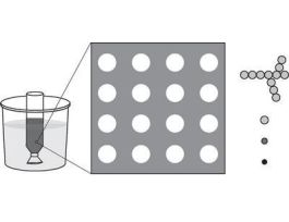 KIT CELL MEMBRANES SINGLE