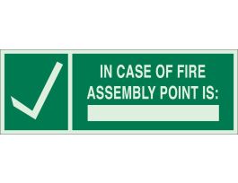 BradyGlo In Case Of Fire Assembly Point Is Sign, 5" H x 14" W x 0.063" D, Green on Glow