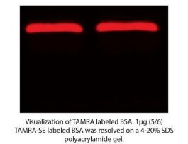 KIT TAMRA DYE LBL ONE QUANT 8X0.5MG PK8