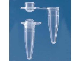 PCR Tube with Flat Cap, 0.5 mL, Clear; 1000/PK