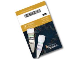 Msp I (100,000 units/ml) 5,000 units, Restriction Enzyme Endonuclease-high concentration