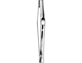 LANE TISSUE FCP 1X2 5 1/2IN