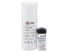 LACTOCOCCUS LACTIS SUBSP.LACTIS 10PELLET