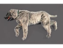 EMILY K-9 POSITIONING DOG MANIKIN