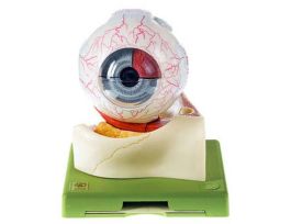 MODEL EYEBALL 5X-SP