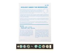 MICRO ECOLOGY UNDER THE MICROSCOPE SET