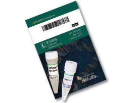 Ear I 2,500 units, Restriction Enzyme Endonuclease