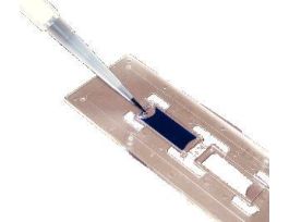 C-CHIP/DHC-B02/BT 100UM PK20