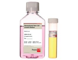 MSC GROWTH MEDIUM DXF