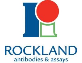 Bovie Serum Albumi Fractio V (Immuoglobuli Ad Protease Free)