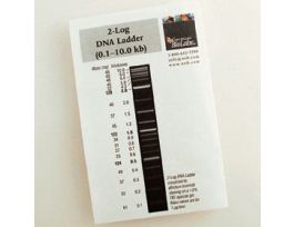 2 LOG DNA LADDER 500 GEL LANES