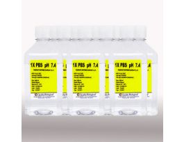 IN1X PBS PH 7.4, 10X1000MLIN