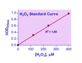 KIT CATALASE ASY ENZYCHROM 0.2U/L 100TST
