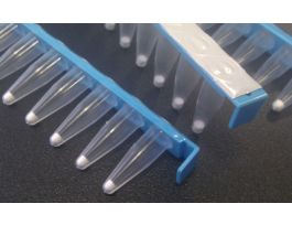 RTG GENOMIPHI HY KIT 96 RXNS