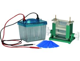 PROTEIN ELECTROPHORESIS UNIT