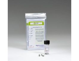 EPOWER LISTERIA MONOCYTOGENES ATCC 19115