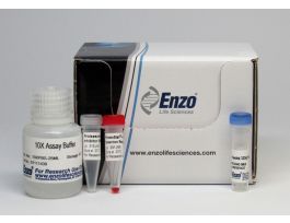 KIT PROTEOSTAT AGGRESOME DETECTION.