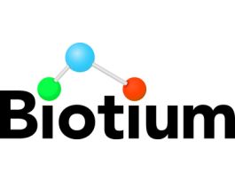 CHOLERA TOXIN B CF488A