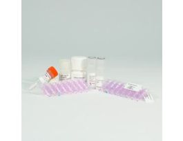 CMGC-2 + ADP-GLO ASSAY ETU 8+?50 REACTION