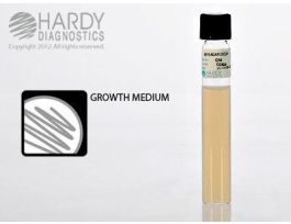 MEDIUM BHI AGAR 20X150MM TUBED 18ML PK20