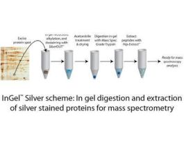 SILVER F/PRT DIGETION INGEL 100 PREPS