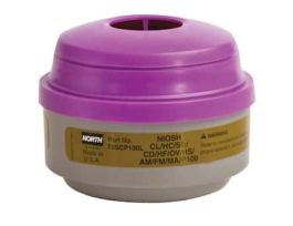 North Multi-Contaminant Cartridge & P100 Filter Combination