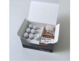 10-B ELECTRCOMP E.COLI 6X0.1ML