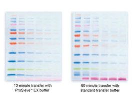 BUFFER EX RUNNING PROSIEVE 10X 1L