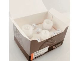 EPIMARK METHYL DNA KIT 25RXNS