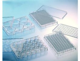 PLATE 6 WELL CELLCOAT PDL MULTIWELL PS