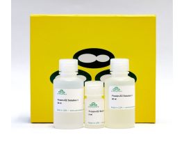 FROZEN-EZ YEAST TRANSFORMATION II KIT