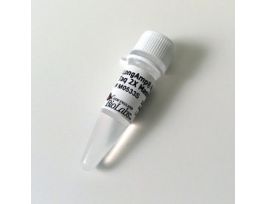 LONGAMP HOT START TAQ 2X MASTE