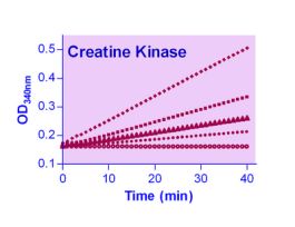 KIT CREATINE KINASE ASY ENZYCHROM 100TST