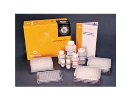 WIZARD SV 9600 PLASMID PUR SYS