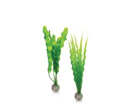 BIORB EASY PLANT SET 2 MEDIUM GREEN CS
