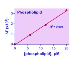 KIT PHOSPHOLIPID ASSAY ENZYCHROM 100 TST