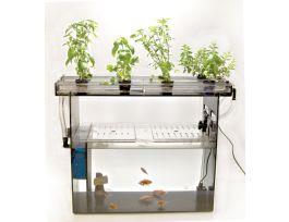 AQUAPONICS SYSTEM
