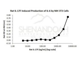 300-28-500UG RAT IL-17F