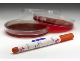 SET ENTERIC BACTERIAL ORGSM BD MAX BACT