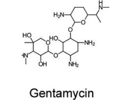 GENTAMYCIN 50MG/ML 20ML