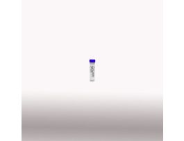 100MG/ML AMPICILLIN READY-MADE