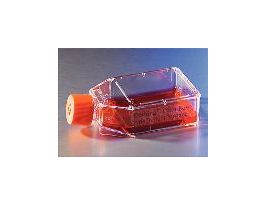 FLASK LOW ATTACH 75CM CS24