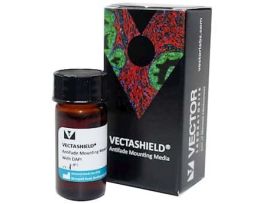 Antifade Mounting Medium with DAPI, 10 ml