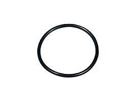 Inlet Silicone O-Ring for SS Filter Holders, PP/PFA 47 mm