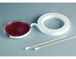 TAPE IRRADIATED CR 1X36 YDS. EA