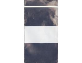 VWR BAG 2MM W/BLOCK 4X6 CS1000