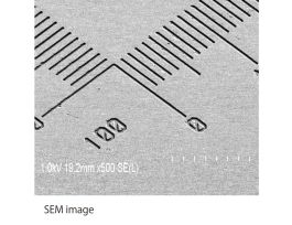 SLIDE MICROSCALE DISP PS FOR MICROSCOPE