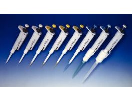 MICROPIPETTE DIG AUTCL .5-10UL
