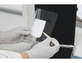 FOLDERS BLOT DEVELOPMENT PK100.