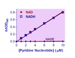 KIT NAD/NADH ASY ENZYCHROM 0.05UM 100TST